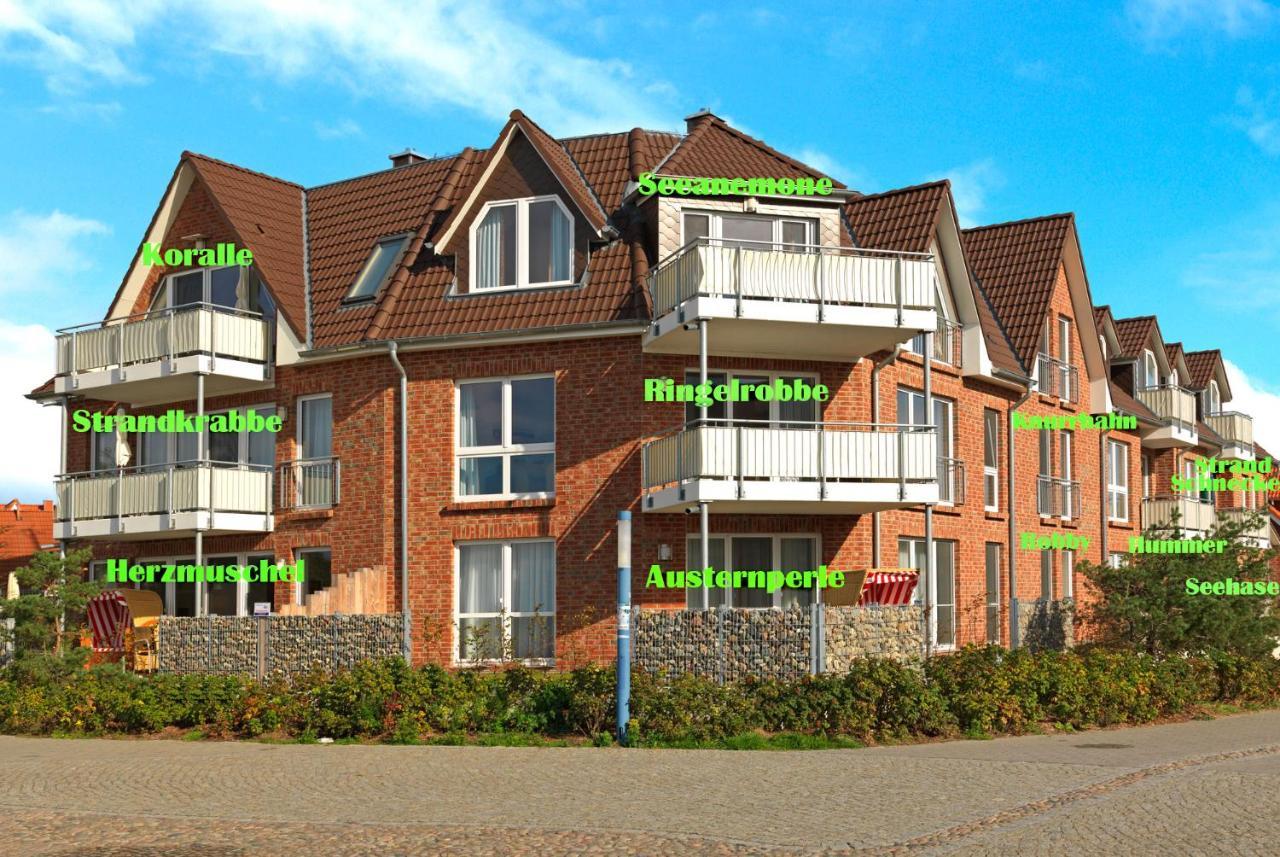 Haus Suedwester Hummer Wyspa Poel Zewnętrze zdjęcie
